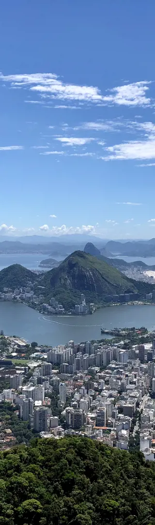 Dschungel, Samba und Meer vereint